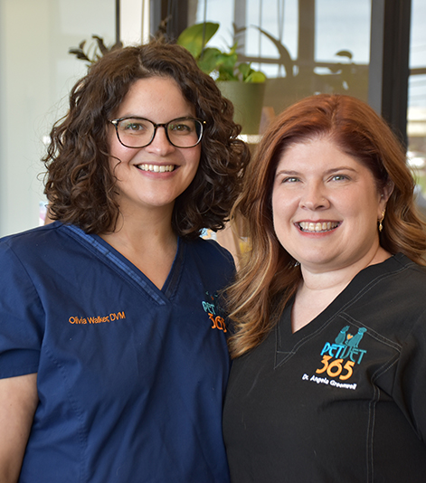 Blankenbaker Vets