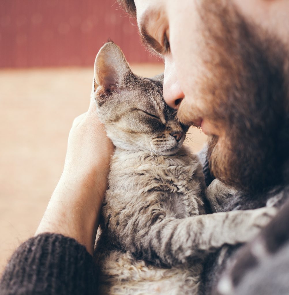kissing cat