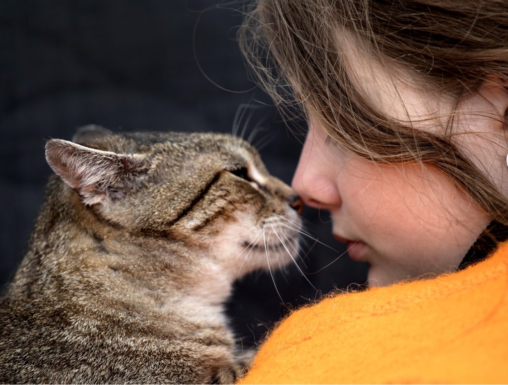 nose to nose with cat