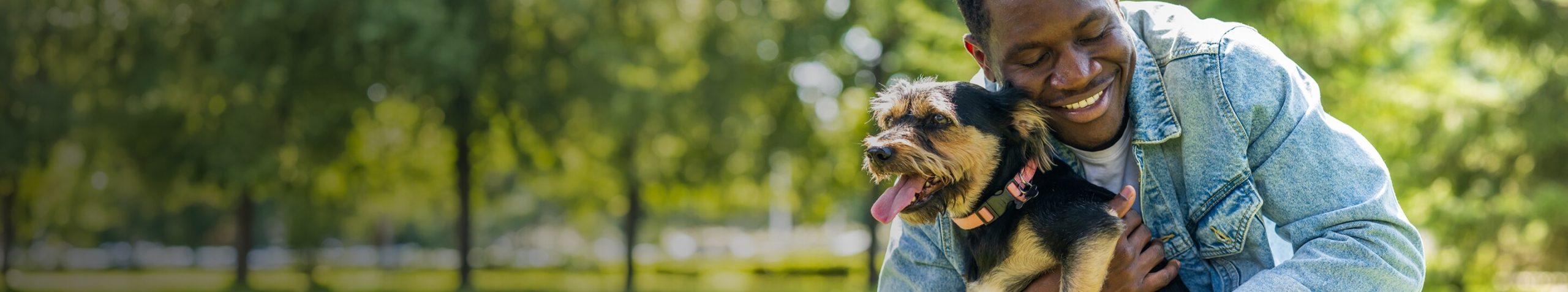 dog in park