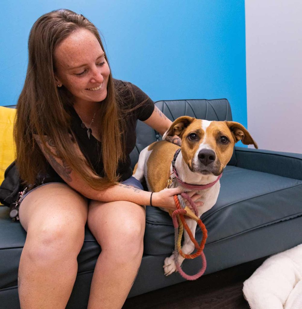 vet with dog on couch