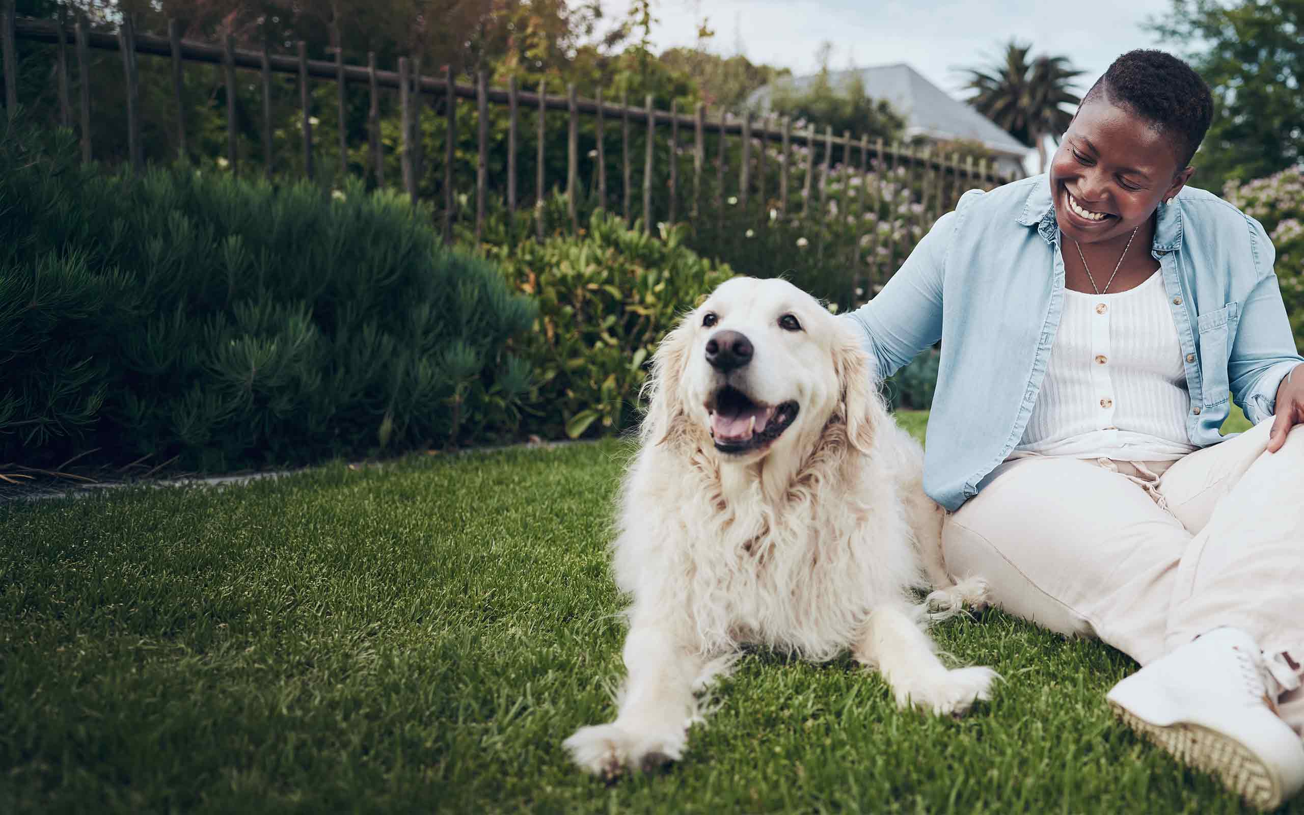 owner with pet in grass