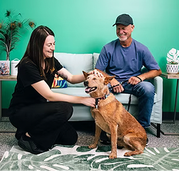 couple with dog