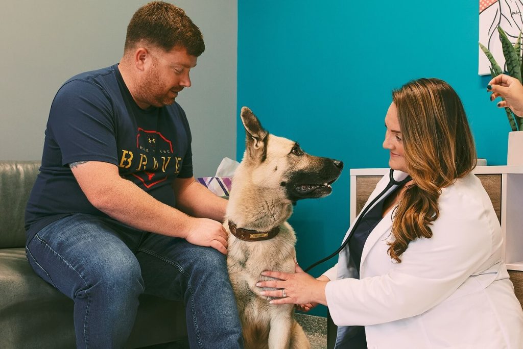 group petting a dog