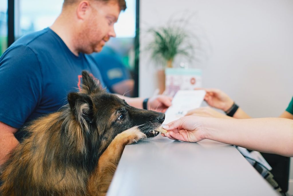 dog biting note