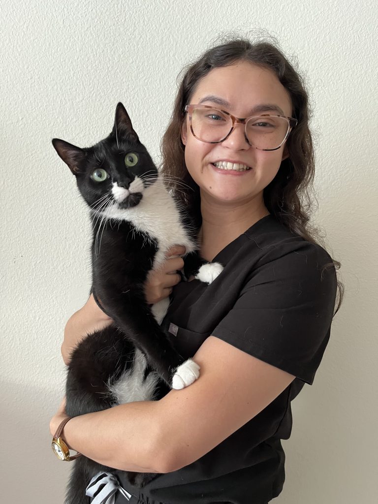 Female veterinarian holding a black and white cat.
