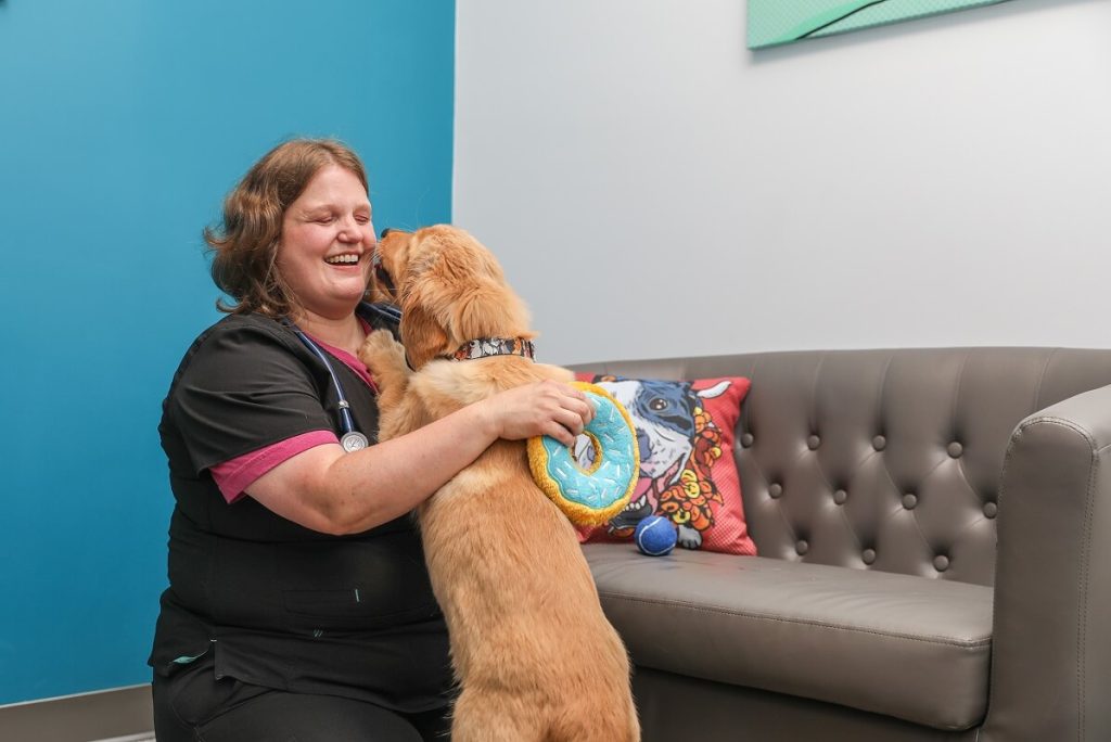 happy dog at vet
