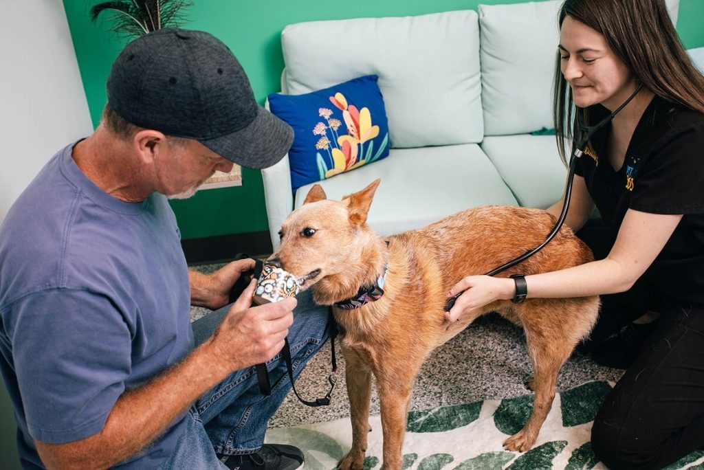 dog eating out of cup