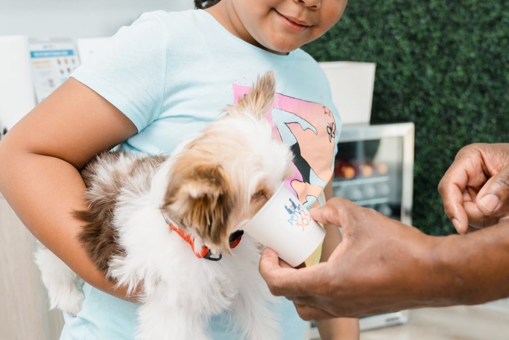 dog eating pup cup