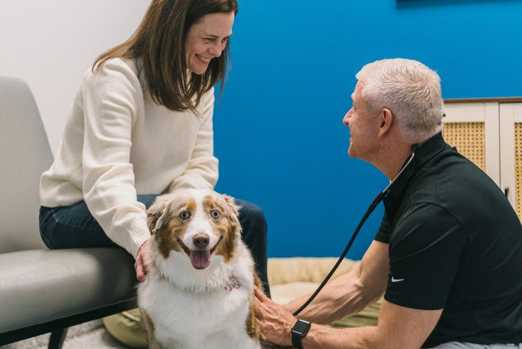 smiling dog getting heart rate