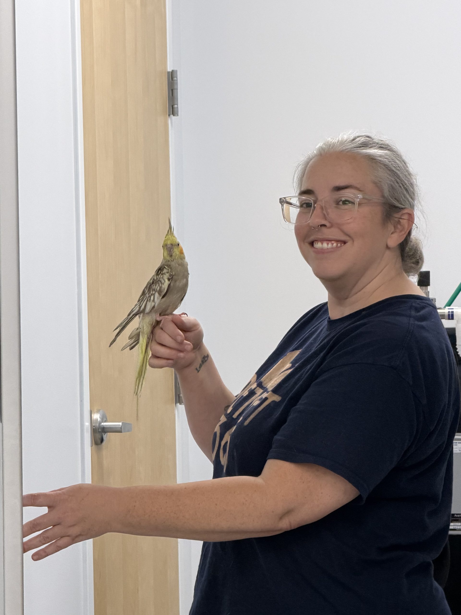 PetVet365 Pet Hospital