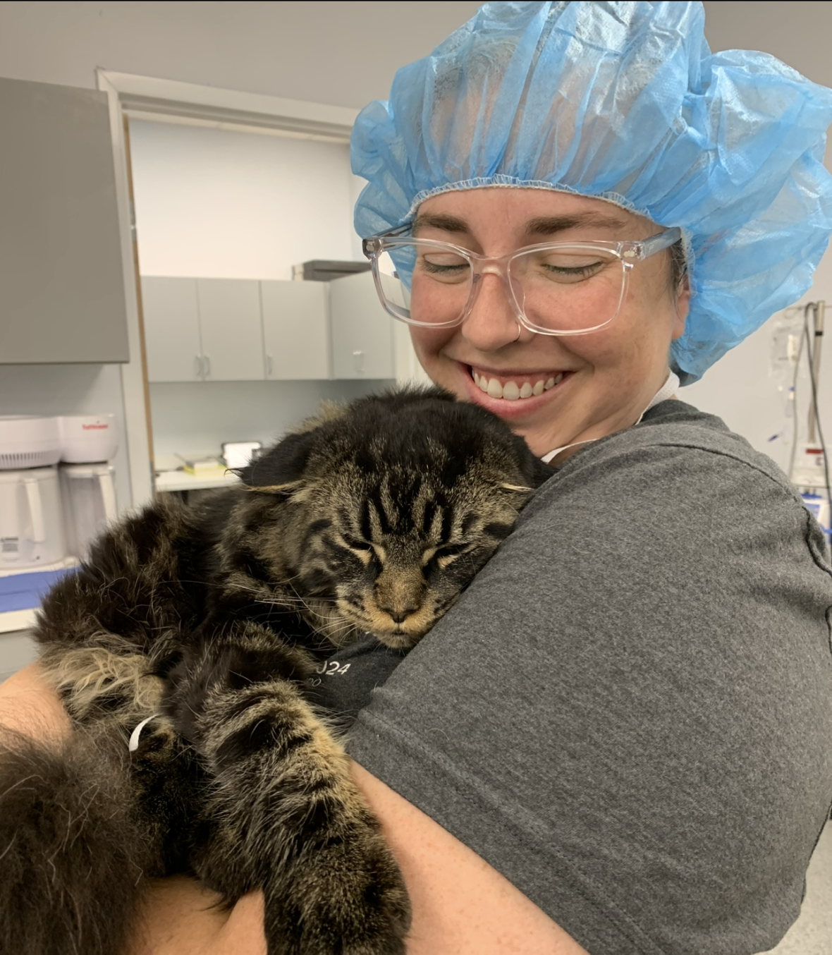 PetVet365 Pet Hospital