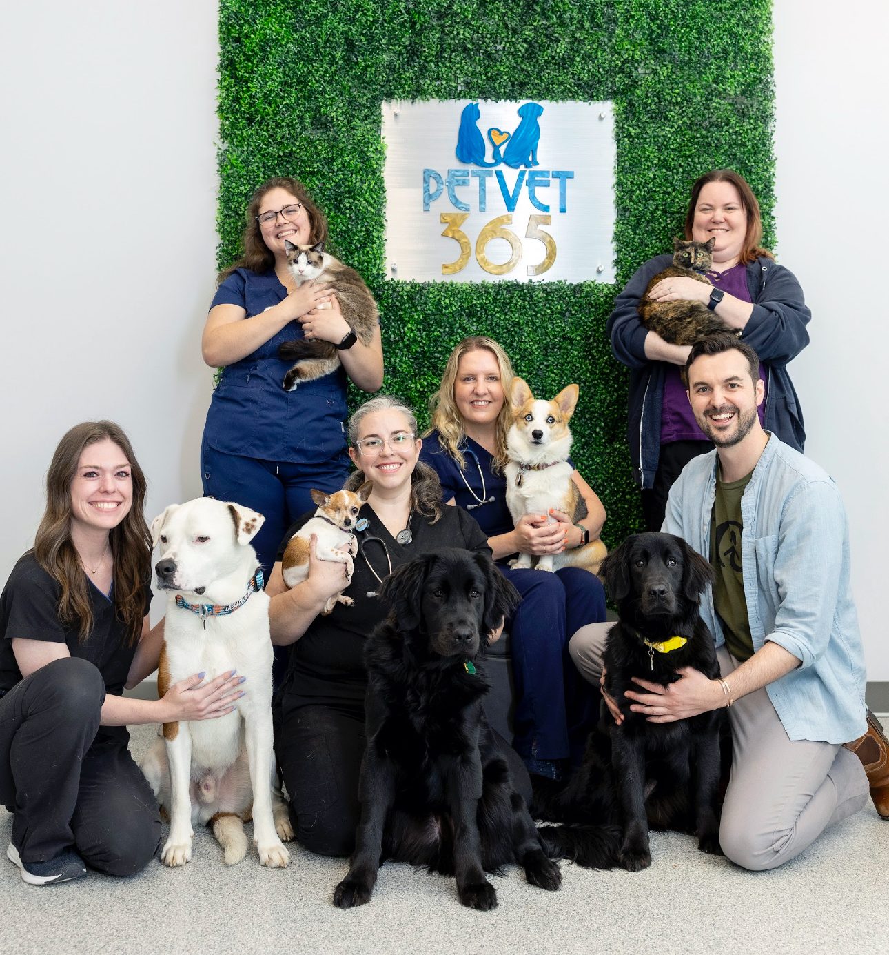 PetVet365 Pet Hospital