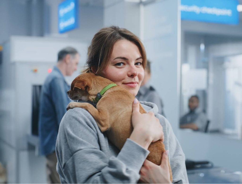 Cat at airport