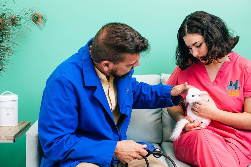 doctors working on pet