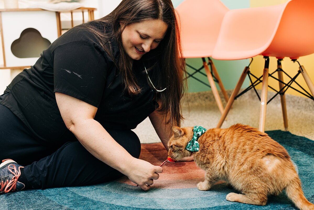 PetVet365 Pet Hospital Louisville Jeffersontown
