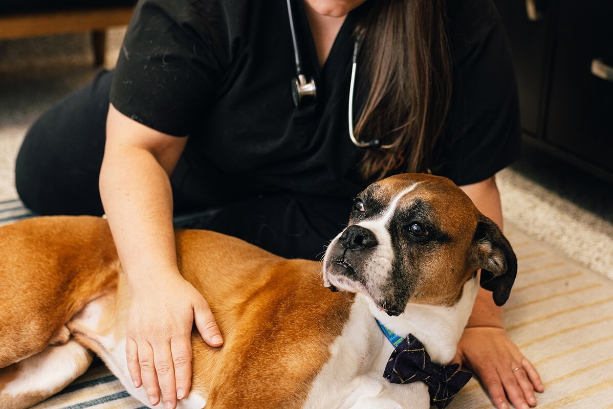 PetVet365 Pet Hospital Louisville Jeffersontown