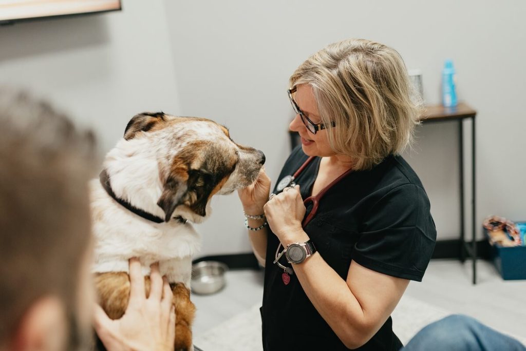 vet tech working on dog teeth