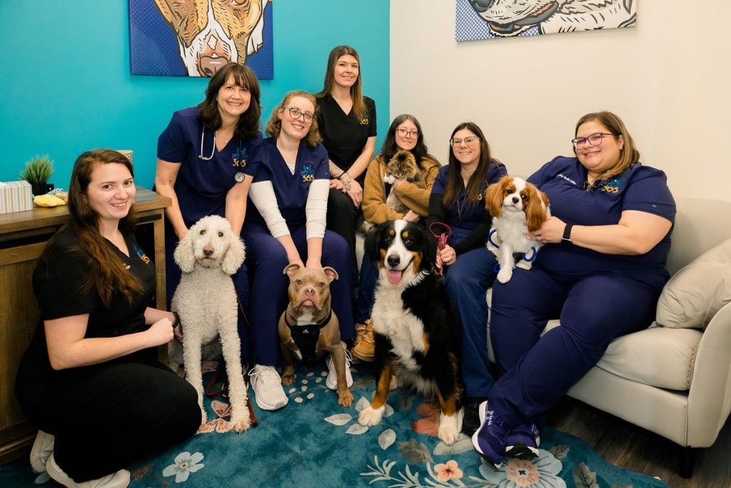 South hills group photo with pets