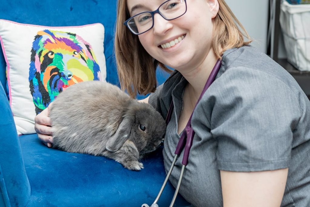 Bunny on a chair with vet