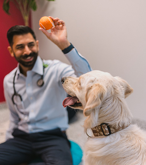 Aurora Vet with dog