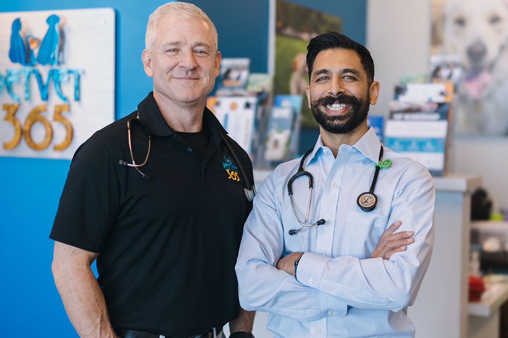 Aurora vets