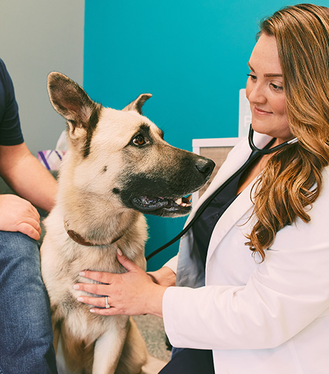 Brannon Crossing Vet
