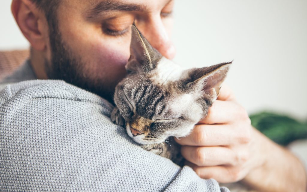 holding cat