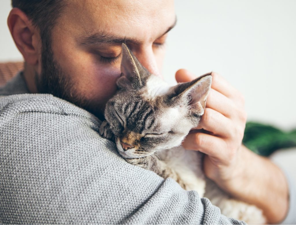 holding cat