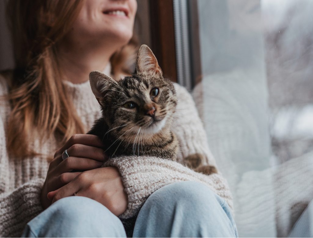 holding cat