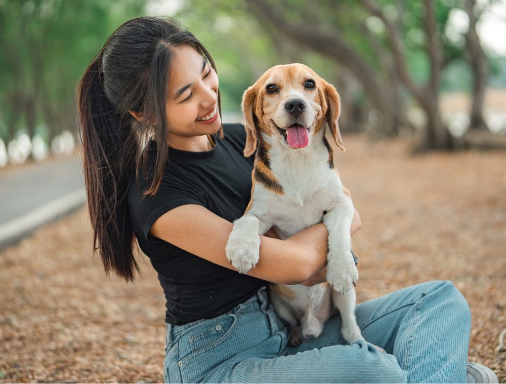 Dog in park