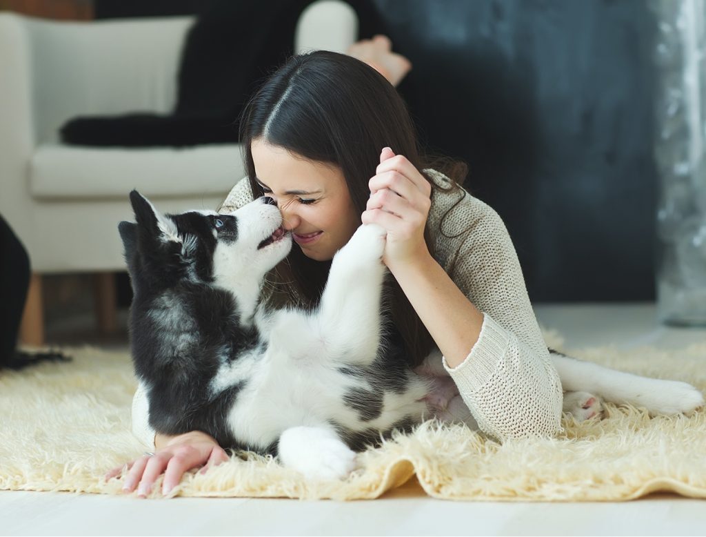 playing with dog