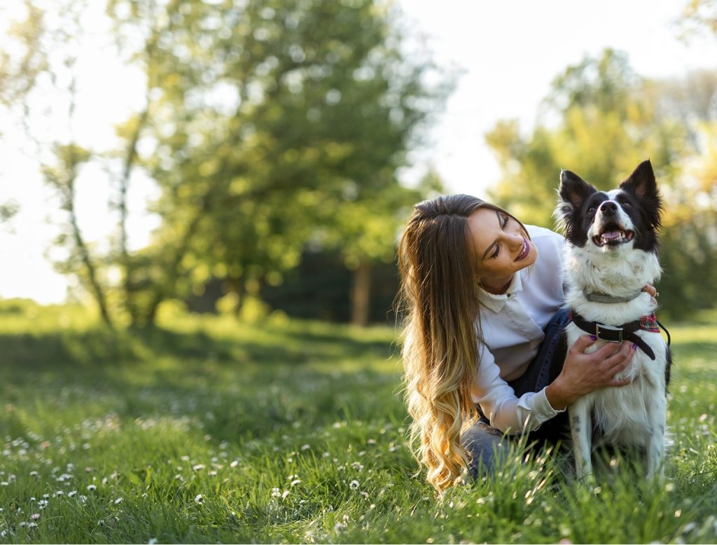 dog in park