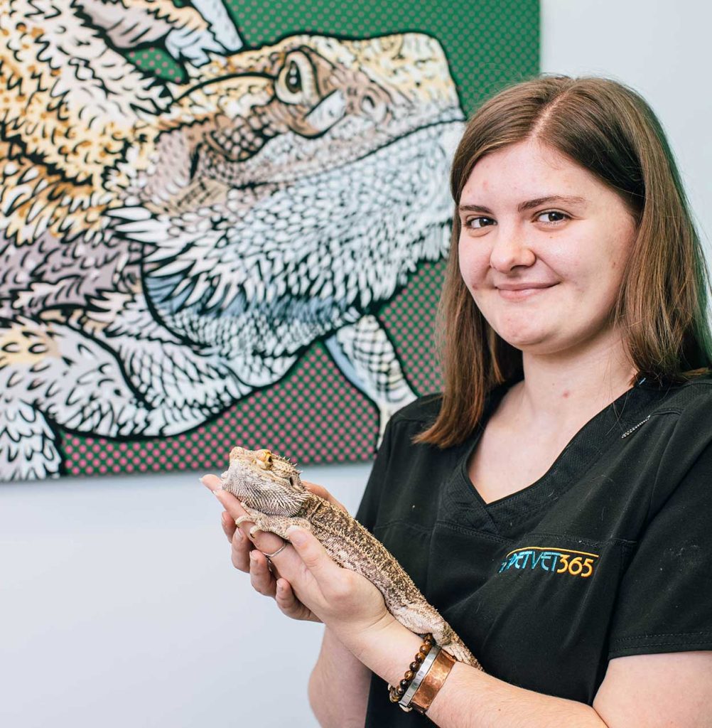Vet with Exotic pet