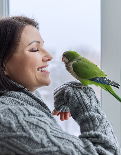 Bird on hand