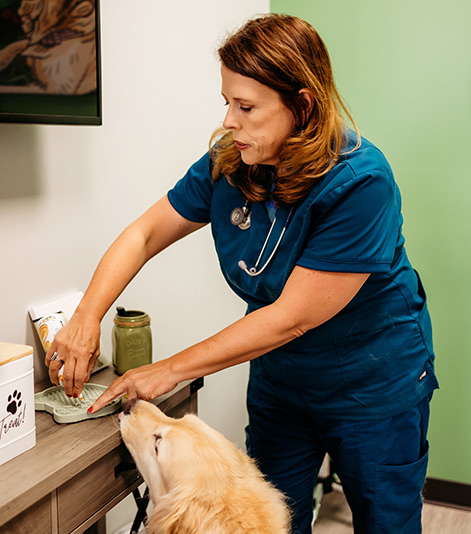 Fishers Crossing vet with dog
