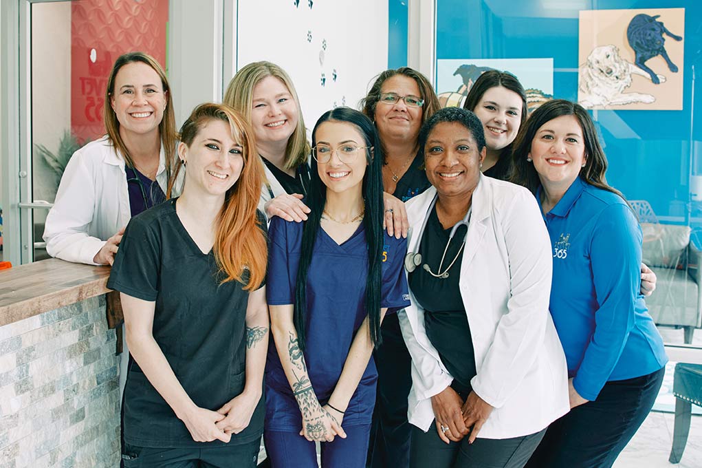 Florence Team