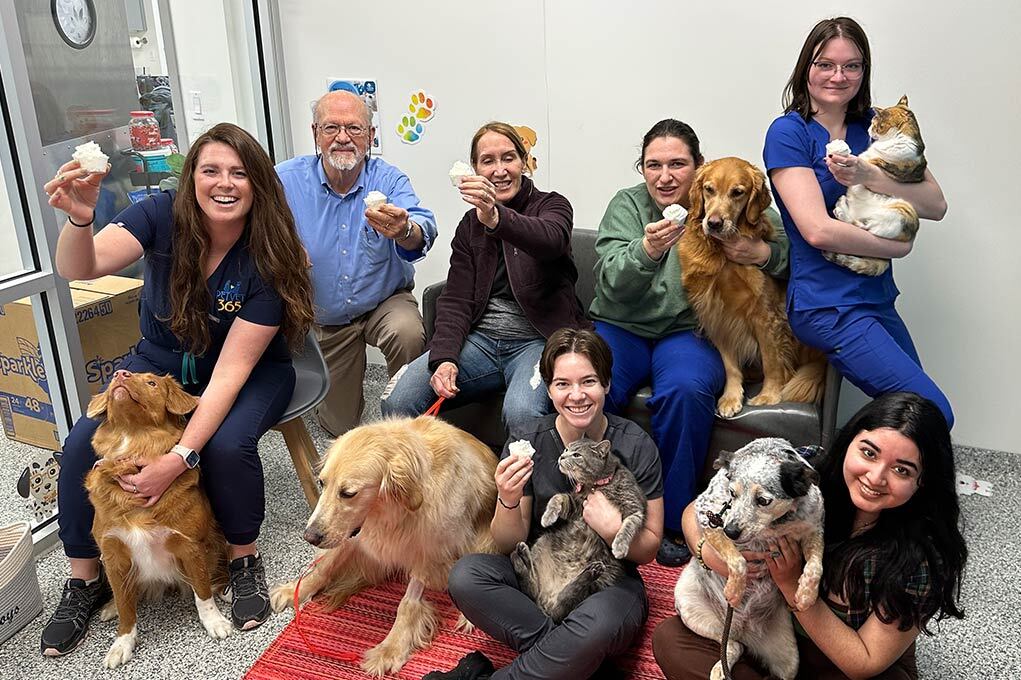 vet and animal group photo