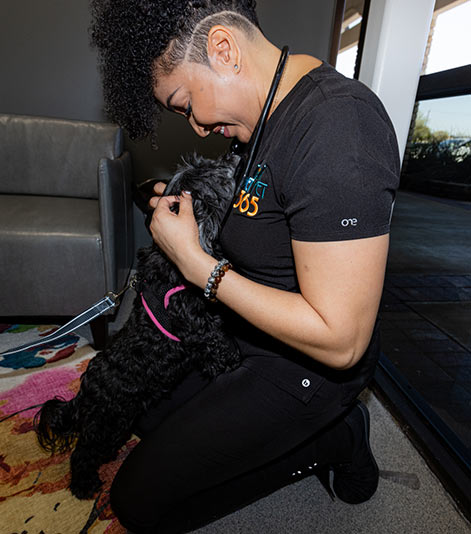 Irving Vet with Dog