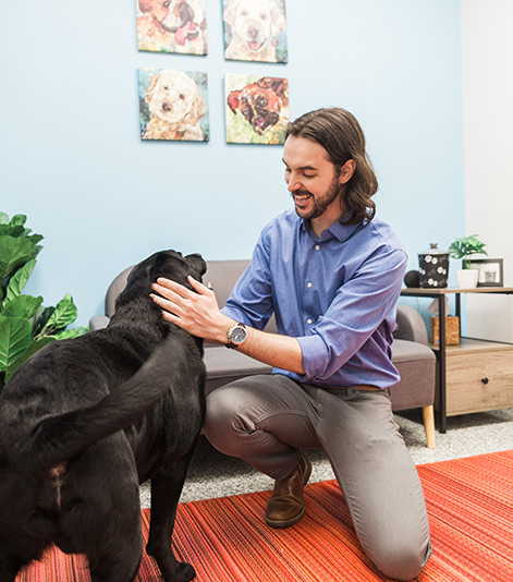 Richmond Road Vet with Dog