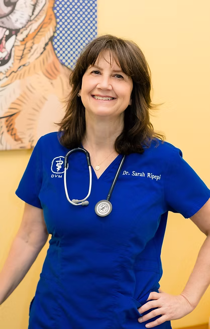 Sarah Ripepi, DVM