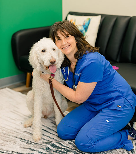 South Hills Pet with Dog