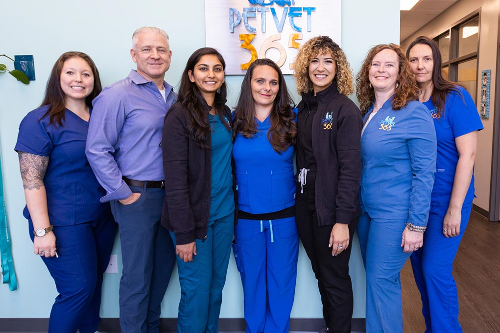 University Team