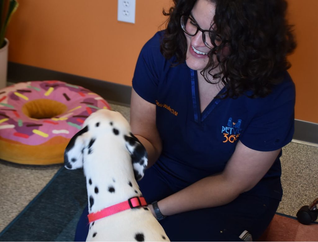 vet with dog