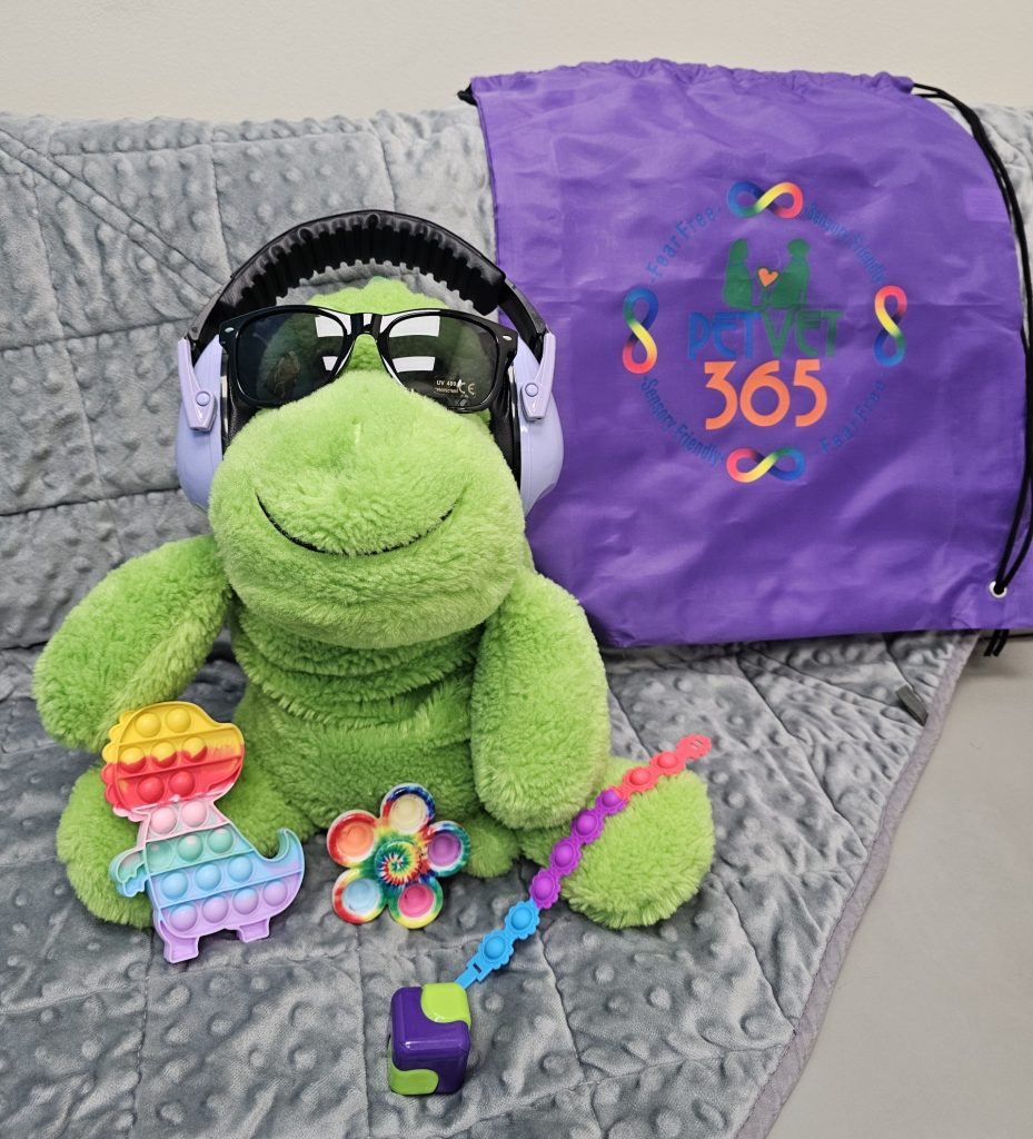 Sensory friendly tools including fidgets, sunglasses, weighted blanket, and more.