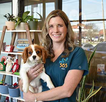 vet with dog