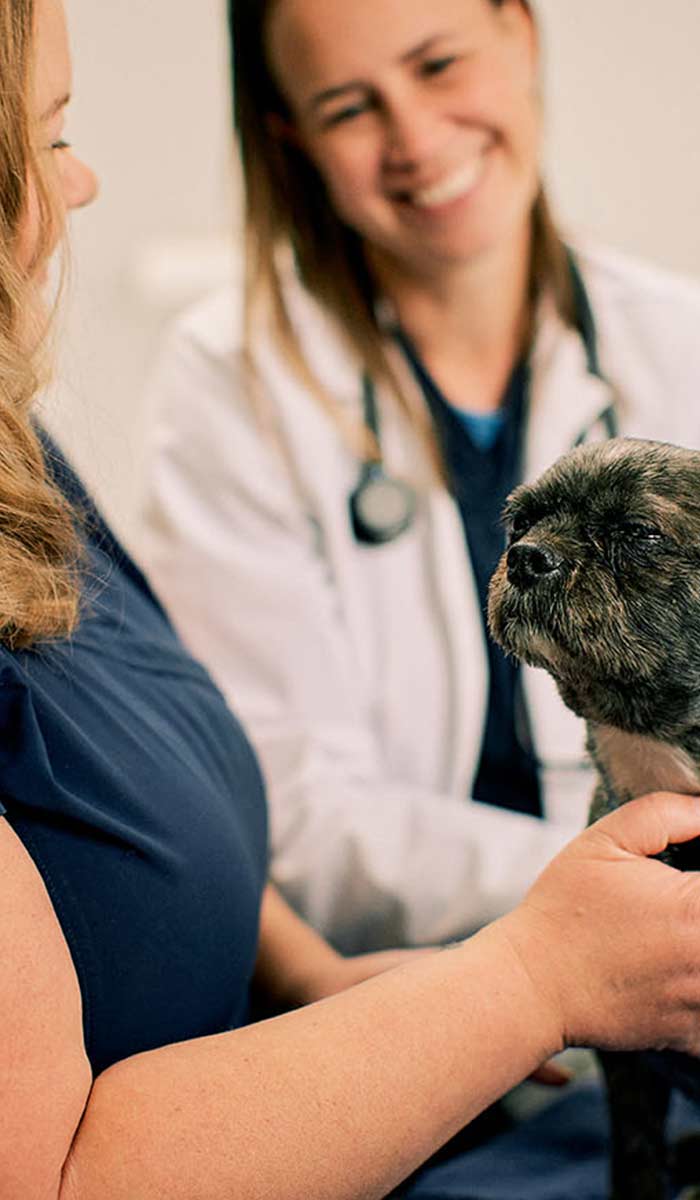 Vets with Pet