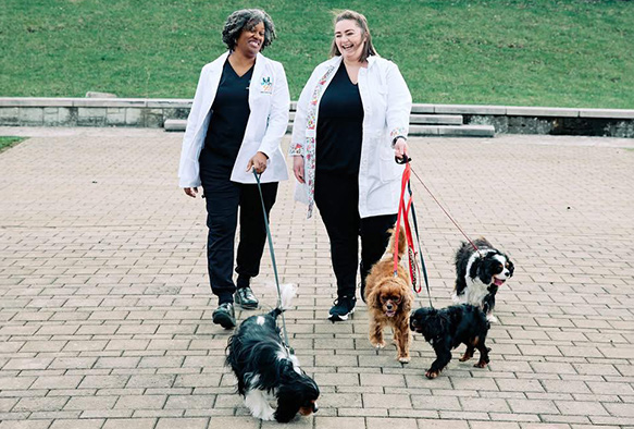 Vet Owners